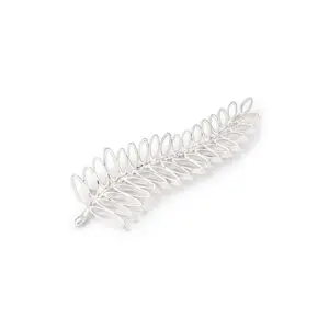 Broche Speld Dames Met Zilveren Varen Blad